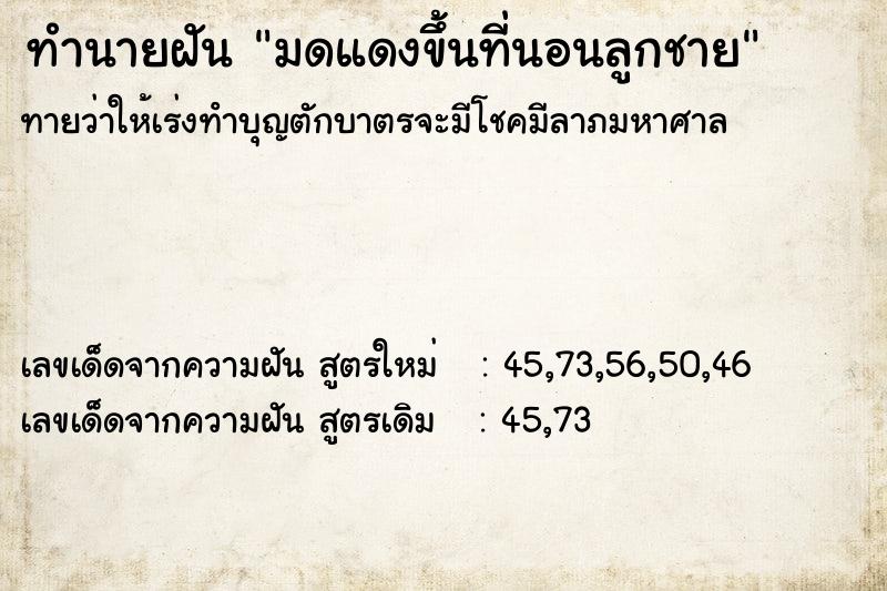 ทำนายฝันมดแดงขึ้นที่นอนลูกชาย ทำนายฝันทำนายฝันมดแดงขึ้นที่นอนลูกชาย