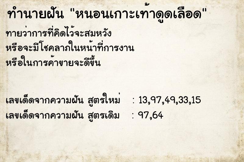 ทำนายฝัน หนอนเกาะเท้าดูดเลือด ทำนายฝัน หนอนเกาะเท้าดูดเลือด