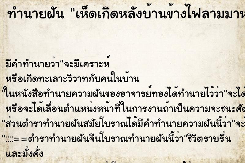 ทำนายฝันทำนายฝันเห็ดเกิดหลังบ้านข้างไฟลามมาหลังบ้านเรา