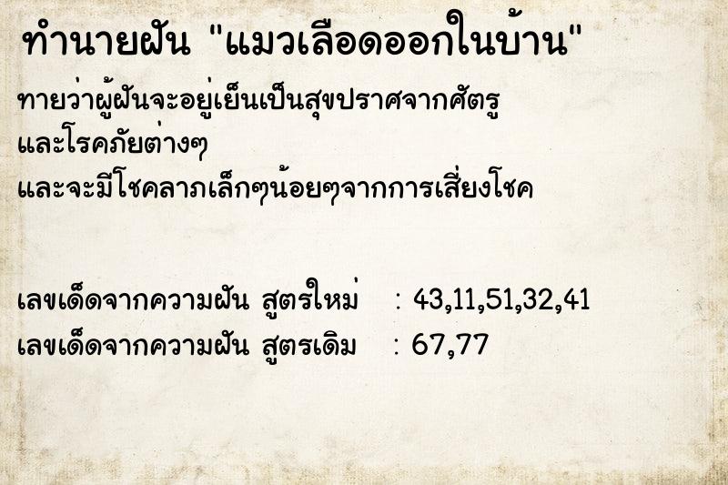 ทำนายฝัน แมวเลือดออกในบ้าน