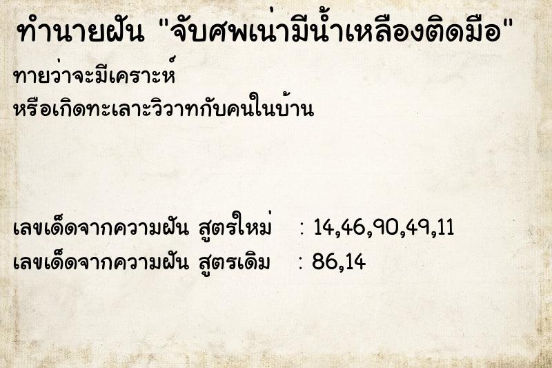 ทำนายฝันทำนายฝันจับศพเน่ามีน้ำเหลืองติดมือ