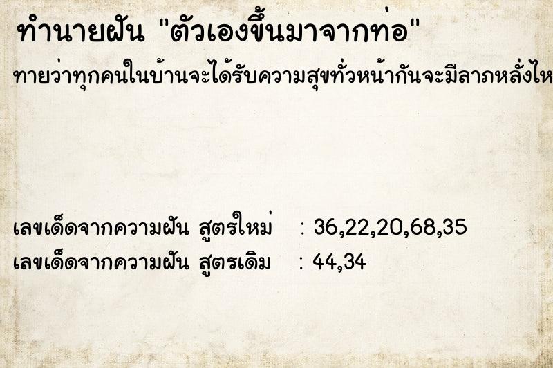 ทำนายฝันตัวเองขึ้นมาจากท่อ ทำนายฝันทำนายฝันตัวเองขึ้นมาจากท่อ