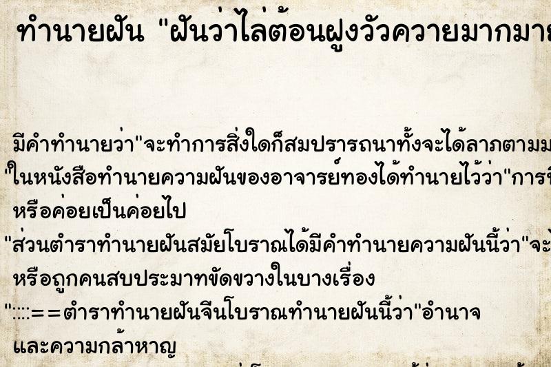 ทำนายฝัน ฝันว่าไล่ต้อนฝูงวัวควายมากมาย ทำนายฝัน ฝันว่าไล่ต้อนฝูงวัวควายมากมาย