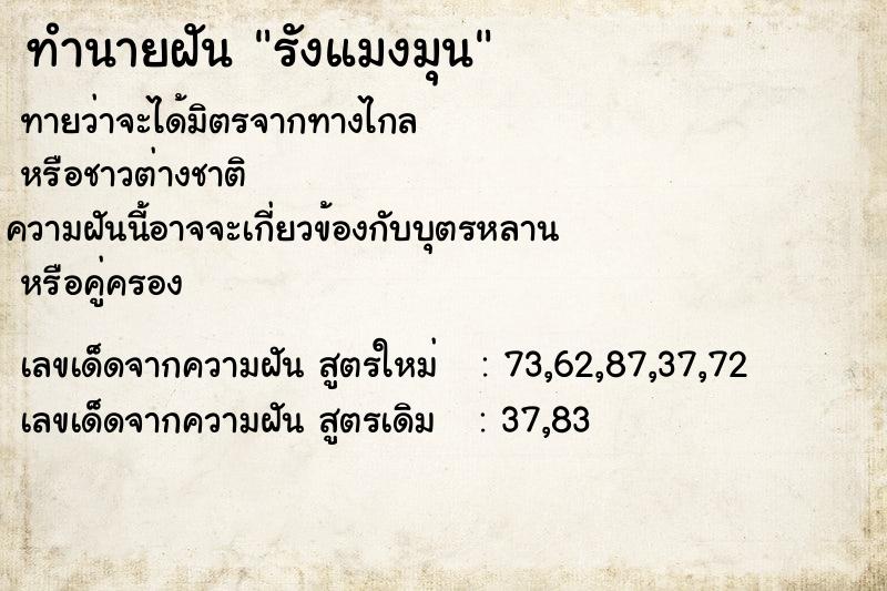 ทำนายฝันทำนายฝันรังแมงมุน