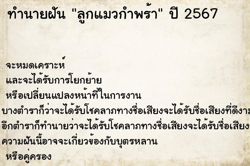ทำนายฝันลูกแมวกำพร้า ทำนายฝันทำนายฝันลูกแมวกำพร้า