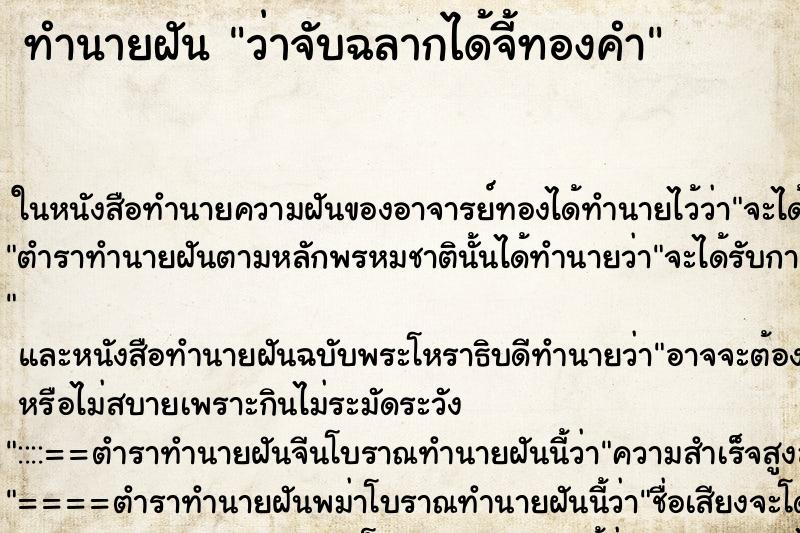 ทำนายฝันว่าจับฉลากได้จี้ทองคำ ทำนายฝันทำนายฝันว่าจับฉลากได้จี้ทองคำ