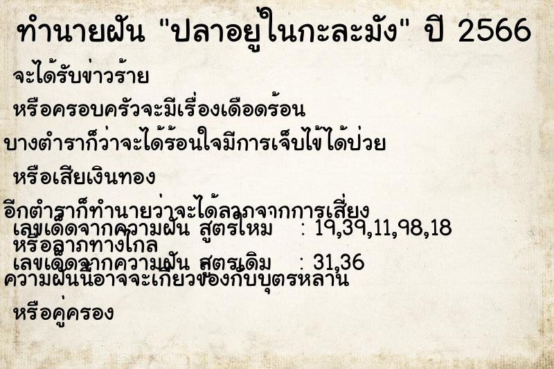 ทำนายฝัน ปลาอยู่ในกะละมัง