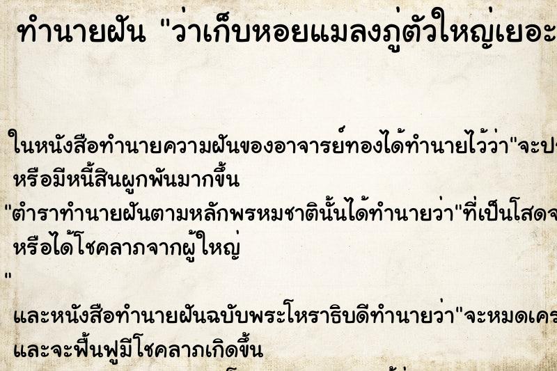 ทำนายฝัน ว่าเก็บหอยแมลงภู่ตัวใหญ่เยอะมาก ทำนายฝัน ว่าเก็บหอยแมลงภู่ตัวใหญ่เยอะมาก