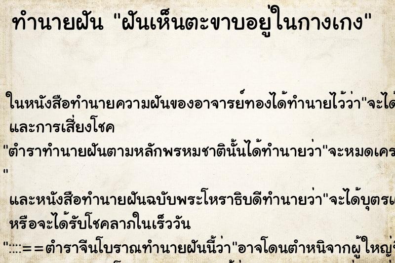 ทำนายฝันฝันเห็นตะขาบอยู่ในกางเกง ทำนายฝันทำนายฝันฝันเห็นตะขาบอยู่ในกางเกง
