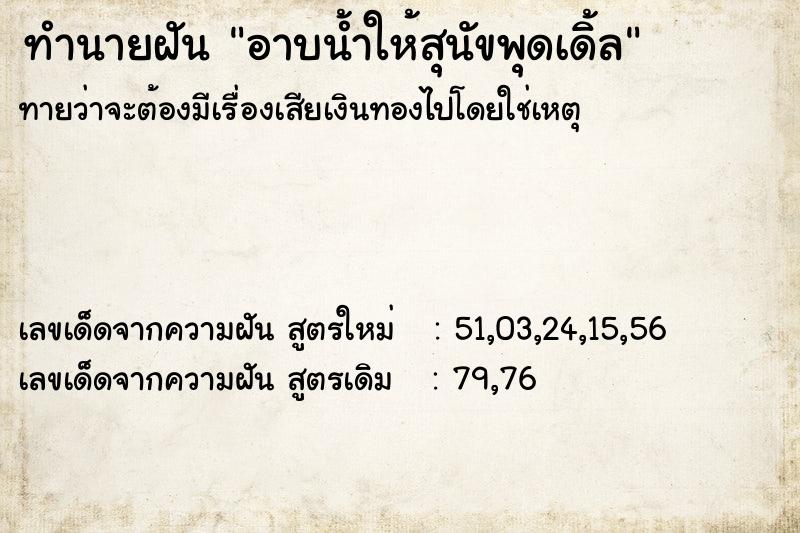 ทำนายฝันอาบน้ำให้สุนัขพุดเดิ้ล ทำนายฝันทำนายฝันอาบน้ำให้สุนัขพุดเดิ้ล