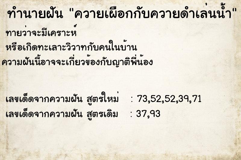 ทำนายฝันควายเผือกกับควายดำเล่นน้ำ ทำนายฝันทำนายฝันควายเผือกกับควายดำเล่นน้ำ