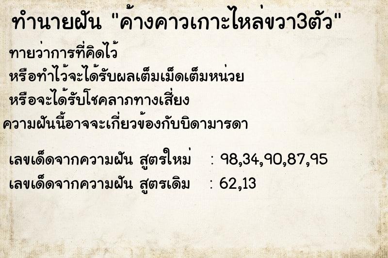 ทำนายฝันทำนายฝันค้างคาวเกาะไหล่ขวา3ตัว