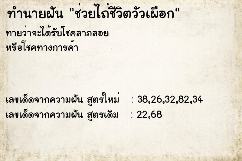 ทำนายฝันช่วยไถ่ชีวิตวัวเผือก ทำนายฝันทำนายฝันช่วยไถ่ชีวิตวัวเผือก