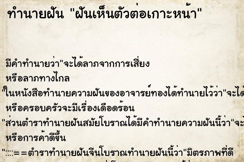 ทำนายฝันฝันเห็นตัวต่อเกาะหน้า ทำนายฝันทำนายฝันฝันเห็นตัวต่อเกาะหน้า