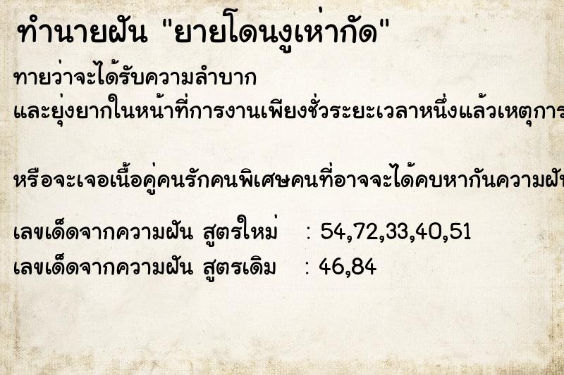 ทำนายฝันยายโดนงูเห่ากัด ทำนายฝันทำนายฝันยายโดนงูเห่ากัด