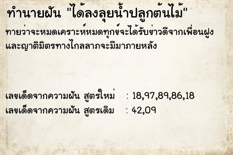 ทำนายฝันทำนายฝันได้ลงลุยน้ำปลูกต้นไม้