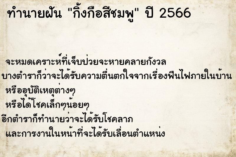 ทำนายฝันกิ้งกือสีชมพู ทำนายฝันทำนายฝันกิ้งกือสีชมพู