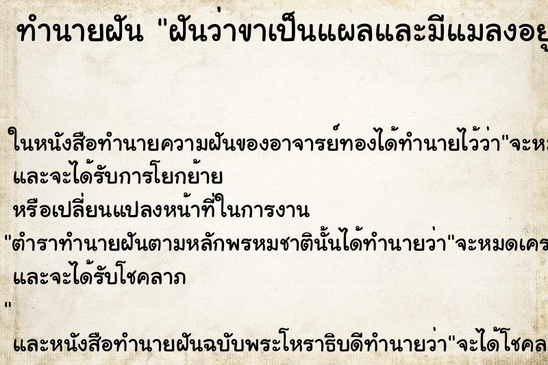 ทำนายฝันฝันว่าขาเป็นแผลและมีแมลงอยู่ข้างในเป็นโพรงเต็ ทำนายฝันทำนายฝันฝันว่าขาเป็นแผลและมีแมลงอยู่ข้างในเป็นโพรงเต็