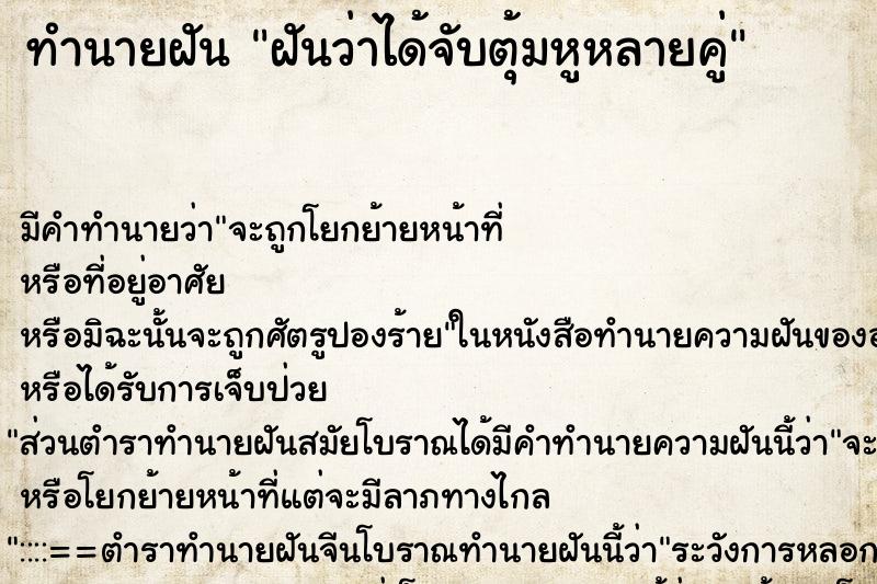 ทำนายฝันฝันว่าได้จับตุ้มหูหลายคู่ ทำนายฝันทำนายฝันฝันว่าได้จับตุ้มหูหลายคู่