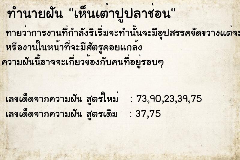 ทำนายฝันเห็นเต่าปูปลาช่อน ทำนายฝันทำนายฝันเห็นเต่าปูปลาช่อน