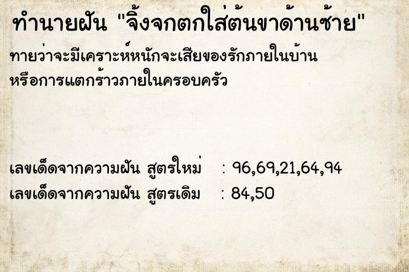 ทำนายฝัน จิ้งจกตกใส่ต้นขาด้านซ้าย ตำราโบราณ แม่นที่สุดในโลก