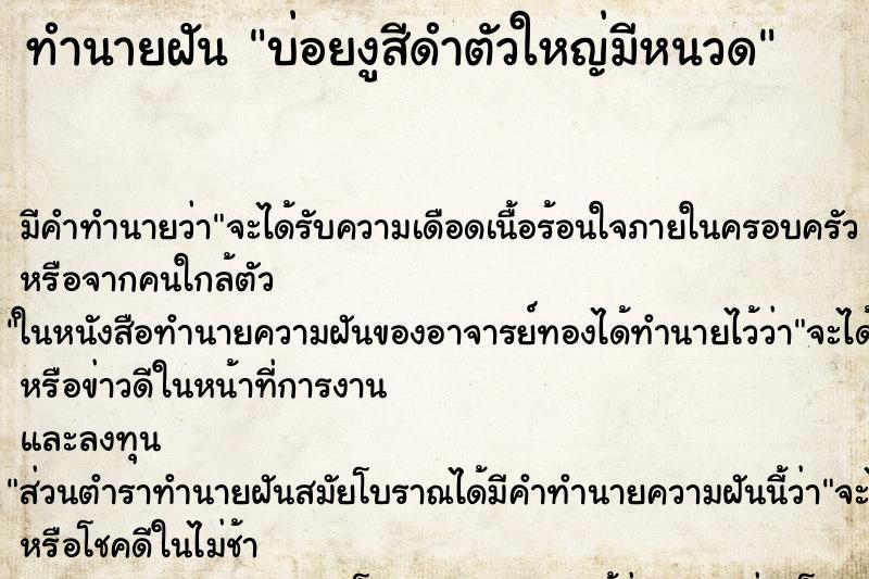 ทำนายฝัน บ่อยงูสีดำตัวใหญ่มีหนวด ทำนายฝัน บ่อยงูสีดำตัวใหญ่มีหนวด