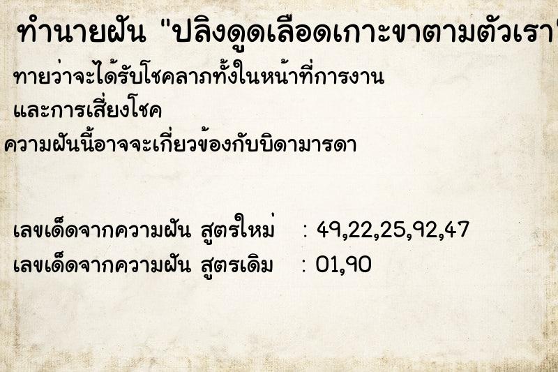 ทำนายฝันปลิงดูดเลือดเกาะขาตามตัวเรา ทำนายฝันทำนายฝันปลิงดูดเลือดเกาะขาตามตัวเรา