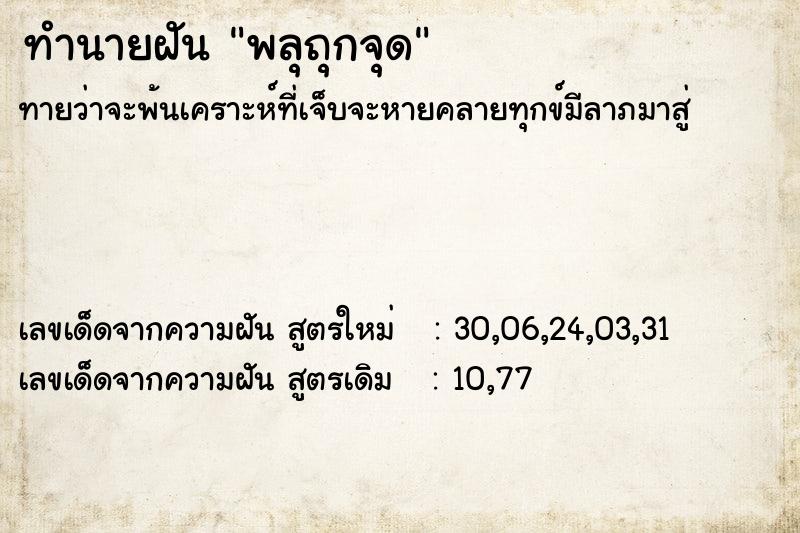 ทำนายฝันพลุถุกจุด ทำนายฝันทำนายฝันพลุถุกจุด