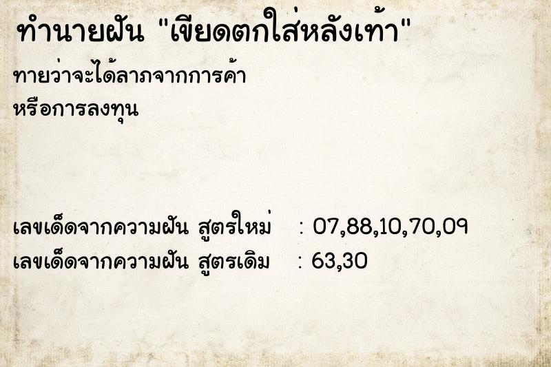 ทำนายฝันเขียดตกใส่หลังเท้า ทำนายฝันทำนายฝันเขียดตกใส่หลังเท้า