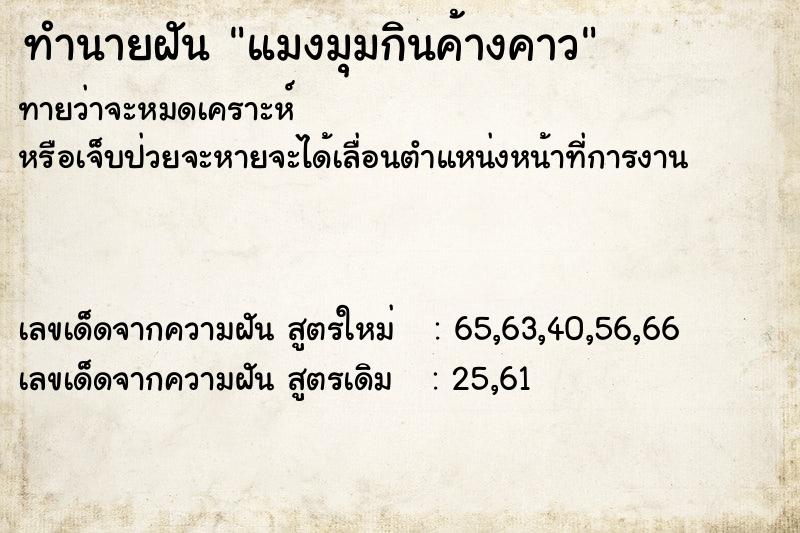 ทำนายฝันทำนายฝันแมงมุมกินค้างคาว