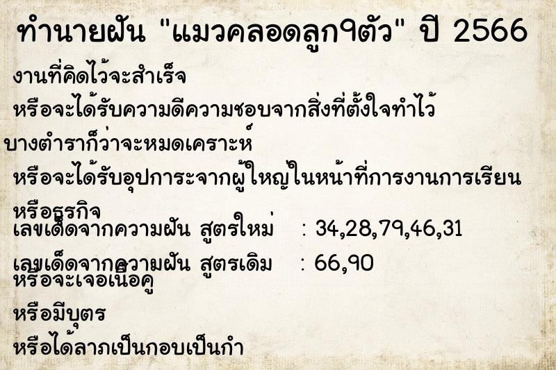 ทำนายฝัน แมวคลอดลูก9ตัว ทำนายฝัน แมวคลอดลูก9ตัว