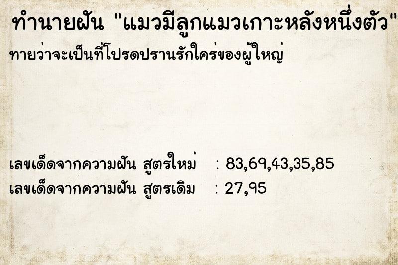 ทำนายฝันทำนายฝันแมวมีลูกแมวเกาะหลังหนึ่งตัว