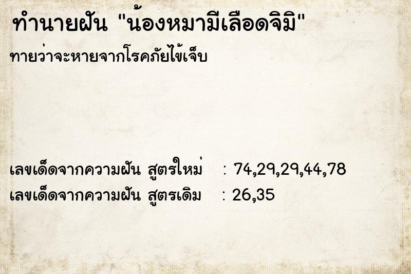 ทำนายฝันทำนายฝันน้องหมามีเลือดจิมิ