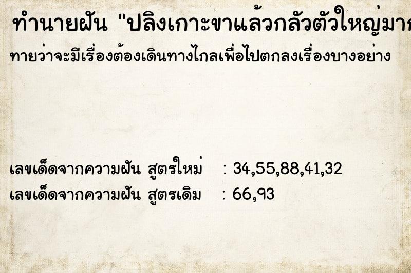 ทำนายฝันปลิงเกาะขาแล้วกลัวตัวใหญ่มาก ทำนายฝันทำนายฝันปลิงเกาะขาแล้วกลัวตัวใหญ่มาก