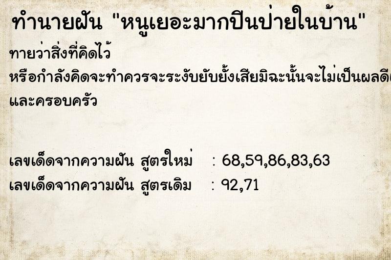 ทำนายฝันหนูเยอะมากปีนป่ายในบ้าน ทำนายฝันทำนายฝันหนูเยอะมากปีนป่ายในบ้าน