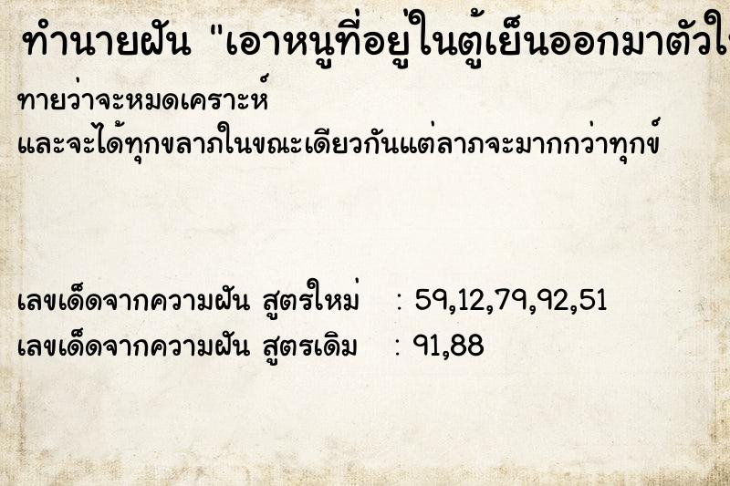 ทำนายฝันเอาหนูที่อยู่ในตู้เย็นออกมาตัวใหญ่เหมือนแมว ทำนายฝันทำนายฝันเอาหนูที่อยู่ในตู้เย็นออกมาตัวใหญ่เหมือนแมว