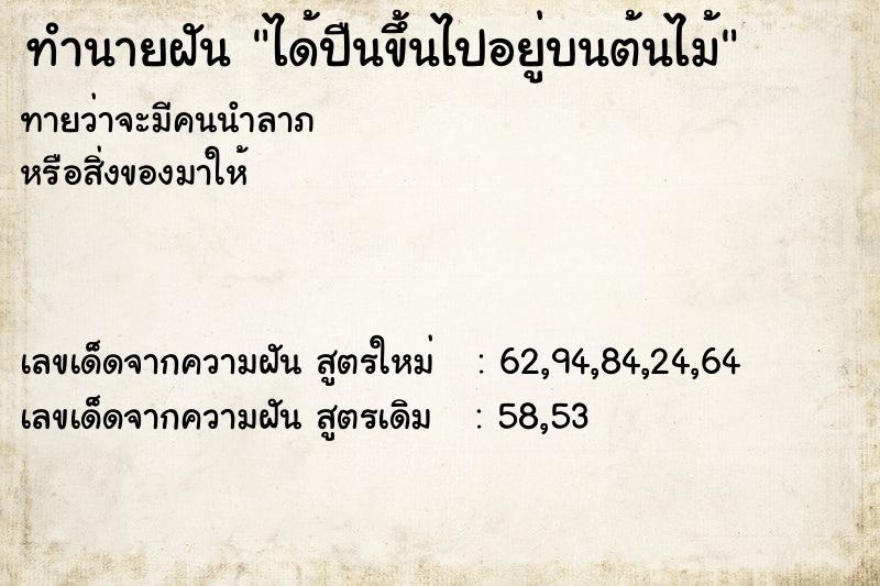 ทำนายฝันได้ปืนขึ้นไปอยู่บนต้นไม้ ทำนายฝันทำนายฝันได้ปืนขึ้นไปอยู่บนต้นไม้