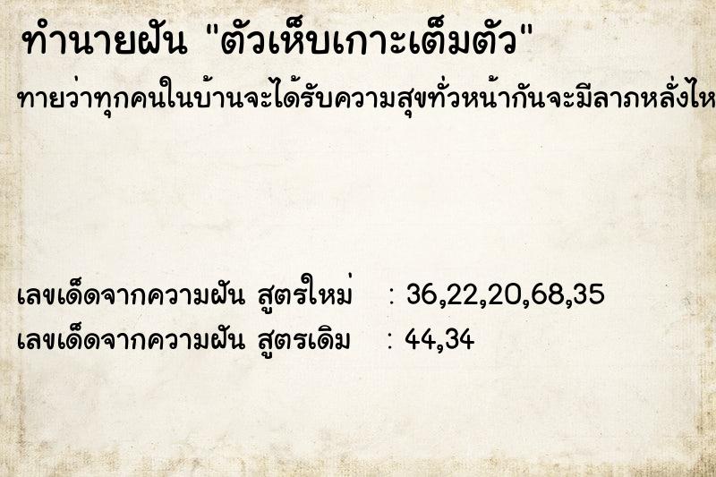 ทำนายฝันตัวเห็บเกาะเต็มตัว ทำนายฝันทำนายฝันตัวเห็บเกาะเต็มตัว