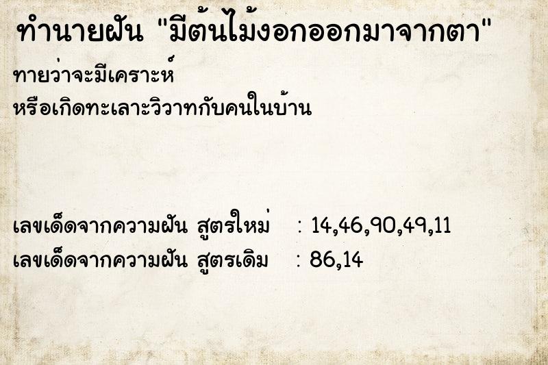ทำนายฝันทำนายฝันมีต้นไม้งอกออกมาจากตา