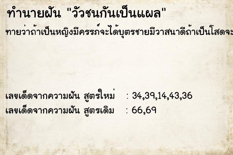 ทำนายฝัน วัวชนกันเป็นแผล