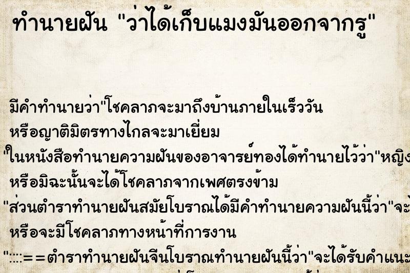 ทำนายฝัน ว่าได้เก็บแมงมันออกจากรู ทำนายฝัน ว่าได้เก็บแมงมันออกจากรู