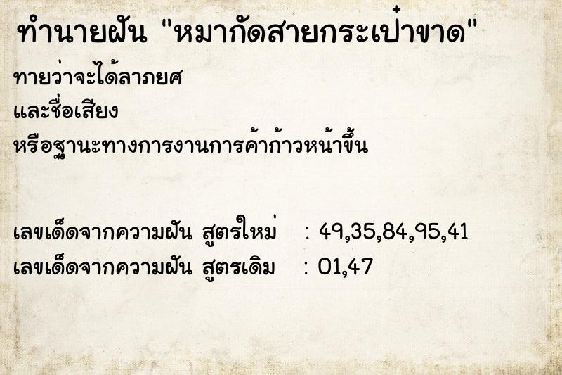ทำนายฝันทำนายฝันหมากัดสายกระเป๋าขาด
