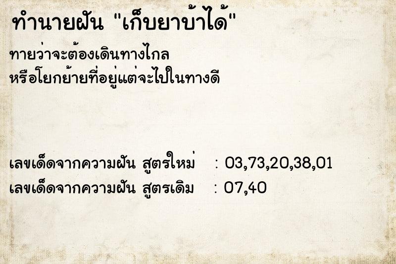 ทำนายฝัน เก็บยาบ้าได้ ทำนายฝัน เก็บยาบ้าได้