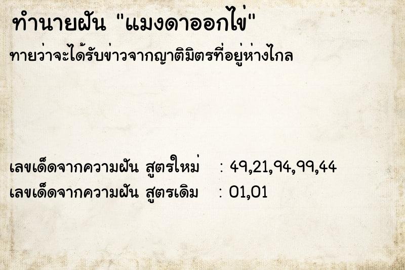 ทำนายฝันแมงดาออกไข่ ทำนายฝันทำนายฝันแมงดาออกไข่
