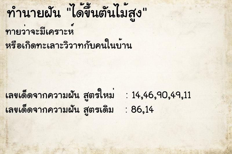 ทำนายฝันได้ขึ้นตันไม้สูง ทำนายฝันทำนายฝันได้ขึ้นตันไม้สูง