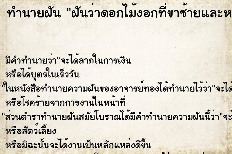 ทำนายฝัน ฝันว่าดอกไม้งอกที่ขาซ้ายและหญ้างอกที่ขาขวา