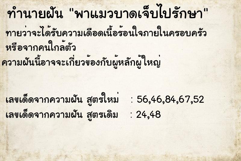 ทำนายฝันพาแมวบาดเจ็บไปรักษา ทำนายฝันทำนายฝันพาแมวบาดเจ็บไปรักษา