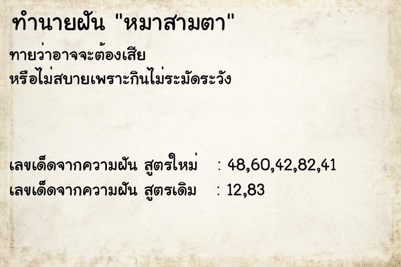 ทำนายฝันหมาสามตา ทำนายฝันทำนายฝันหมาสามตา