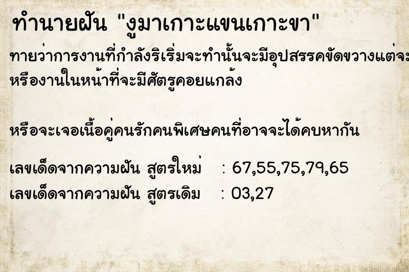ทำนายฝัน งูมาเกาะแขนเกาะขา