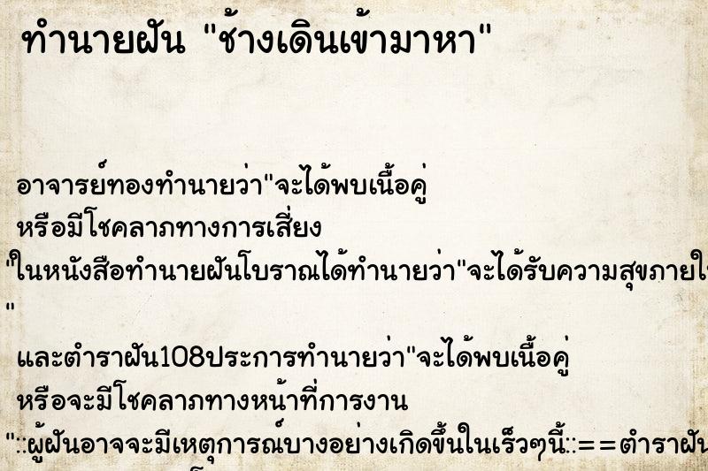 ทำนายฝัน ช้างเดินเข้ามาหา ตำราโบราณ แม่นที่สุดในโลก